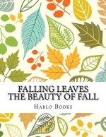 Falling Leaves: The Beauty of a Leaf