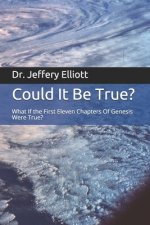 Could It Be True?: What If the First Eleven Chapters Of Genesis Were True