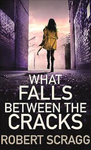 What Falls Between the Cracks