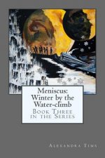 Meniscus: Winter by the Water-climb