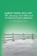 Almost Saved, But Lost: The January 1873 Blizzard in Kandiyohi County, Minnesota