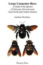 Large Carpenter Bees: A Guide to Species of Xylocopa (Neoxylocopa) from North and Central America