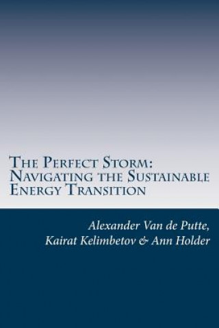 The Perfect Storm: Navigating the Sustainable Energy Transition