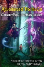 Adventures of Poe the Cat: Miniature Boy, Wizards and Witches