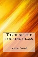 Through the Looking Glass