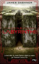 Le Labyrinthe 1 L'épreuve
