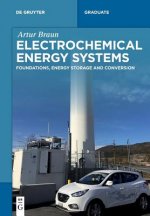 Electrochemical Energy Systems