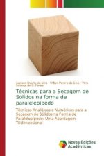Tecnicas para a Secagem de Solidos na forma de paralelepipedo