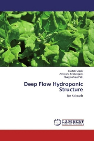 Deep Flow Hydroponic Structure