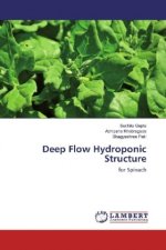 Deep Flow Hydroponic Structure