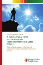 meritocracia como instrumento de reconhecimento no Setor Publico