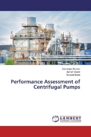 Performance Assessment of Centrifugal Pumps