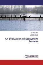 An Evaluation of Ecosystem Services