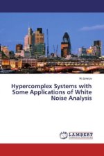 Hypercomplex Systems with Some Applications of White Noise Analysis