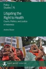 Litigating the Right to Health: Courts, Politics, and Justice in Indonesia