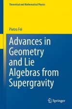 Advances in Geometry and Lie Algebras from Supergravity
