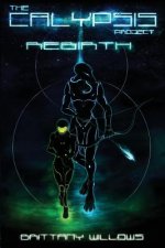 The Calypsis Project II: Rebirth