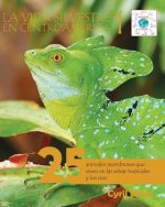 vida silvestre en Centroamerica 1