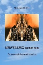 MERVEILLEUX est mon nom: Itinéraire de la transformation