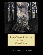 Birch Trees in Forest
