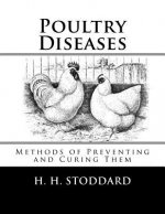 Poultry Diseases: Methods of Preventing and Curing Them