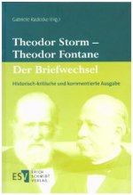 Theodor Storm - Theodor Fontane: Der Briefwechsel