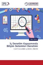 Iç Denetim Kapsaminda Bilisim Sistemleri Denetimi