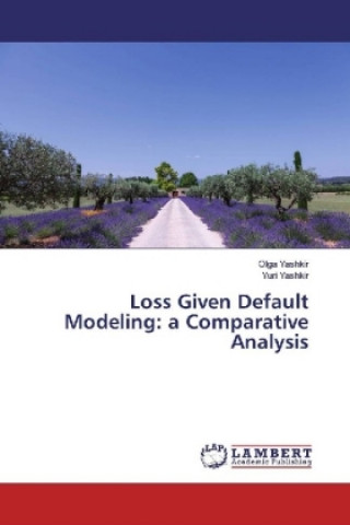 Loss Given Default Modeling: a Comparative Analysis