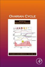 Ovarian Cycle