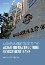 Comparative Guide to the Asian Infrastructure Investment Bank