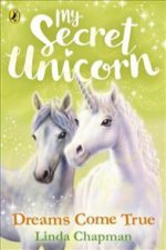 My Secret Unicorn: Dreams Come True