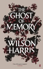 Ghost of Memory
