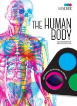 HUMAN BODY