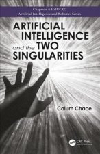 Artificial Intelligence and the Two Singularities