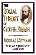 Social Theory of Georg Simmel
