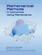 Mathematical Methods in Economics Using Mathematica