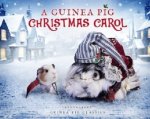Guinea Pig Christmas Carol