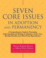 Seven Core Issues in Adoption and Permanency
