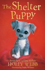 Shelter Puppy