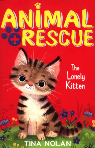 Lonely Kitten