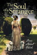 Soul of a Stranger