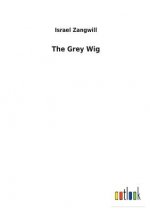 Grey Wig