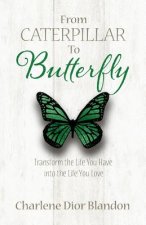 From Caterpillar to Butterfly: Transform the Life You Have into the Life You Love
