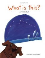 What is this?: Am I mindful?