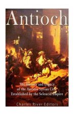 Antioch: The History and Legacy of the Ancient Syrian City Established by the Seleucid Empire