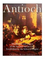Antioch: The History and Legacy of the Ancient Syrian City Established by the Seleucid Empire