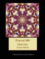 Fractal 486