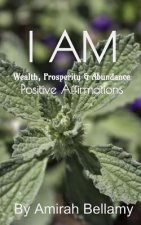I Am Wealth, Prosperity & Abundance Positive Affirmations