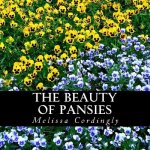 The Beauty of Pansies: A text-free book for Seniors and Alzheimer's patients