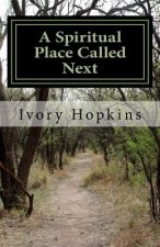 A Spiritual Place Called Next: The place you go to when things don't turn out the way you thought